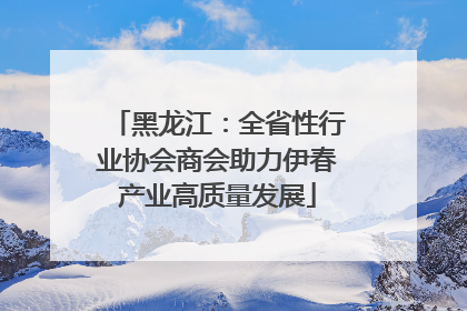 黑龙江：全省性行业协会商会助力伊春产业高质量发展