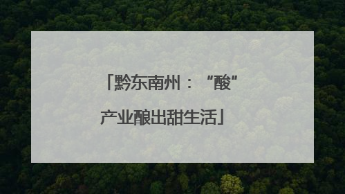 黔东南州：“酸”产业酿出甜生活