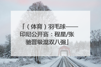 （体育）羽毛球——印尼公开赛：程星/张驰晋级混双八强