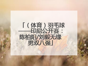 （体育）羽毛球——印尼公开赛：陈柏阳/刘毅无缘男双八强