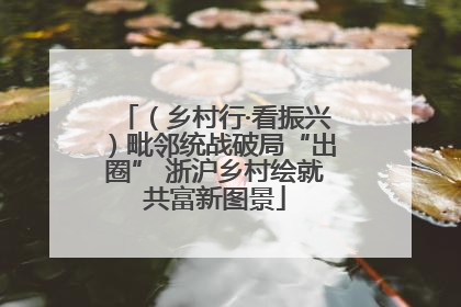 （乡村行·看振兴）毗邻统战破局“出圈” 浙沪乡村绘就共富新图景