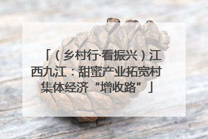 （乡村行·看振兴）江西九江：甜蜜产业拓宽村集体经济“增收路”