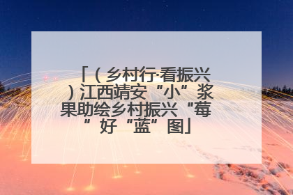 （乡村行·看振兴）江西靖安“小”浆果助绘乡村振兴“莓”好“蓝”图