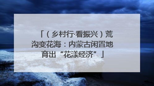 （乡村行·看振兴）荒沟变花海：内蒙古闲置地育出“花漾经济”