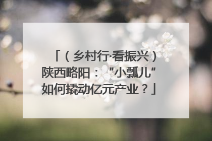 （乡村行·看振兴）陕西略阳：“小瓢儿”如何撬动亿元产业？