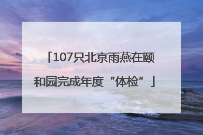 107只北京雨燕在颐和园完成年度“体检”