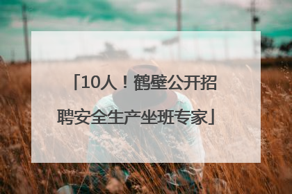 10人！鹤壁公开招聘安全生产坐班专家