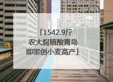 1542.9斤 农大腐植酸青岛即墨创小麦高产