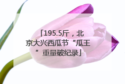 195.5斤，北京大兴西瓜节“瓜王”重量破纪录