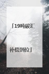 19吨碳汇补偿到位