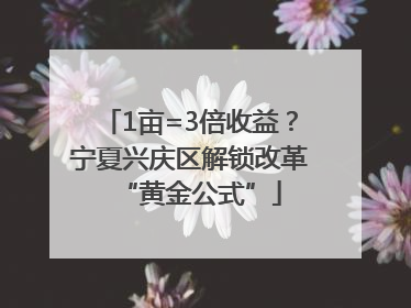 1亩=3倍收益？宁夏兴庆区解锁改革“黄金公式”