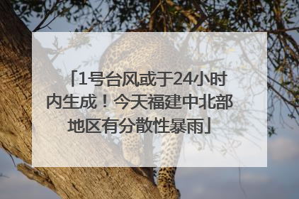 1号台风或于24小时内生成！今天福建中北部地区有分散性暴雨
