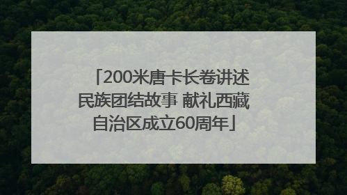 200米唐卡长卷讲述民族团结故事 献礼西藏自治区成立60周年