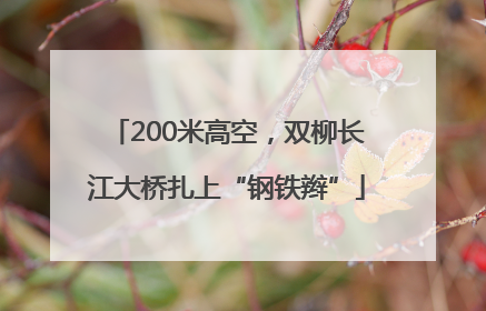200米高空，双柳长江大桥扎上“钢铁辫”
