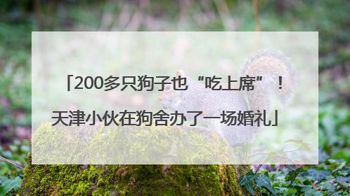 200多只狗子也“吃上席”！天津小伙在狗舍办了一场婚礼