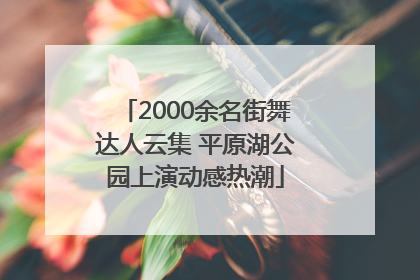 2000余名街舞达人云集 平原湖公园上演动感热潮
