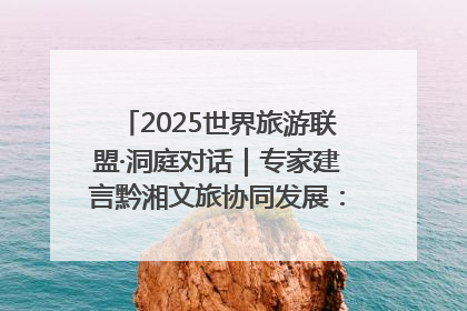2025世界旅游联盟·洞庭对话｜专家建言黔湘文旅协同发展：聚焦产品稀缺性 深化区域经验共享