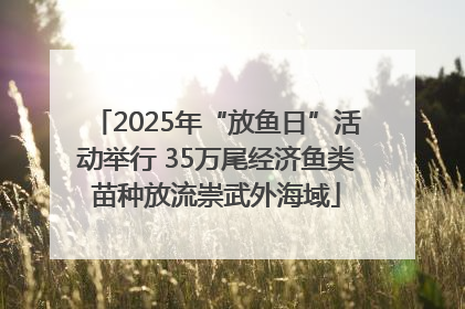 2025年“放鱼日”活动举行 35万尾经济鱼类苗种放流崇武外海域
