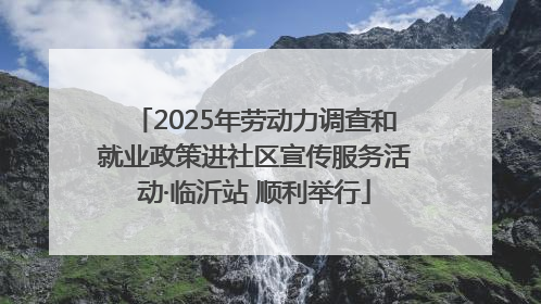 2025年劳动力调查和就业政策进社区宣传服务活动·临沂站 顺利举行