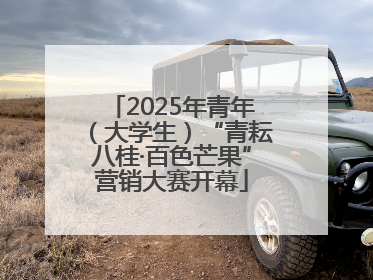 2025年青年（大学生）“青耘八桂·百色芒果”营销大赛开幕