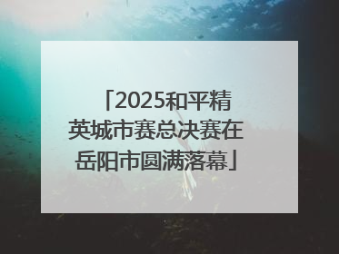 2025和平精英城市赛总决赛在岳阳市圆满落幕