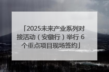 2025未来产业系列对接活动（安徽行）举行 6个重点项目现场签约