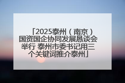 2025泰州（南京）国资国企协同发展恳谈会举行 泰州市委书记用三个关键词推介泰州
