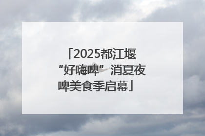 2025都江堰“好嗨啤”消夏夜啤美食季启幕