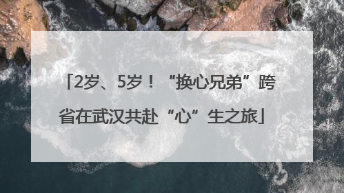 2岁、5岁！“换心兄弟”跨省在武汉共赴“心”生之旅