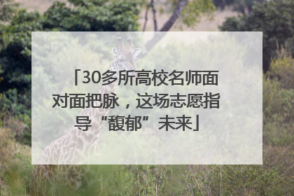 30多所高校名师面对面把脉，这场志愿指导“馥郁”未来