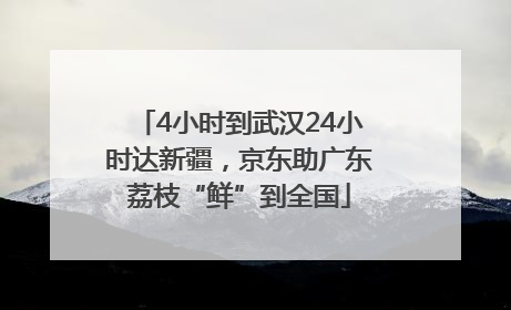 4小时到武汉24小时达新疆，京东助广东荔枝“鲜”到全国
