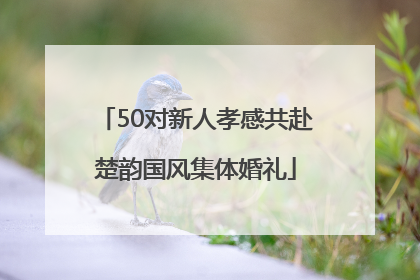 50对新人孝感共赴楚韵国风集体婚礼