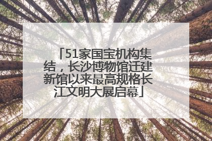 51家国宝机构集结，长沙博物馆迁建新馆以来最高规格长江文明大展启幕