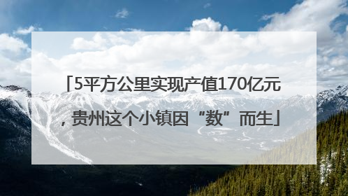 5平方公里实现产值170亿元，贵州这个小镇因“数”而生