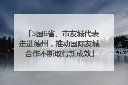 5国6省、市友城代表走进德州，推动国际友城合作不断取得新成效