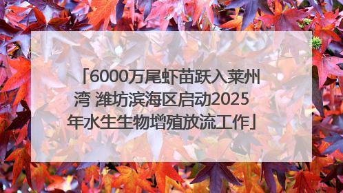 6000万尾虾苗跃入莱州湾 潍坊滨海区启动2025年水生生物增殖放流工作
