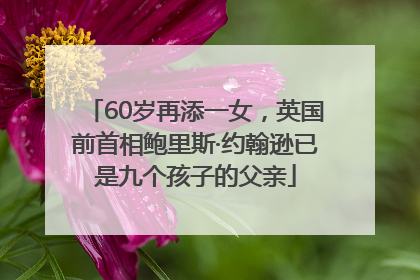 60岁再添一女，英国前首相鲍里斯·约翰逊已是九个孩子的父亲