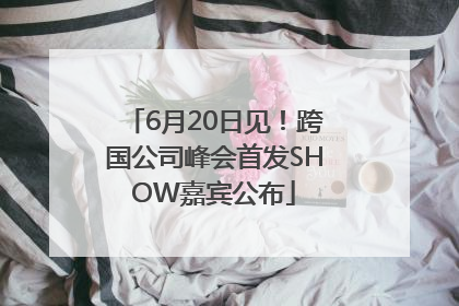 6月20日见！跨国公司峰会首发SHOW嘉宾公布