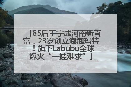 85后王宁成河南新首富，23岁创立泡泡玛特！旗下Labubu全球爆火“一娃难求”