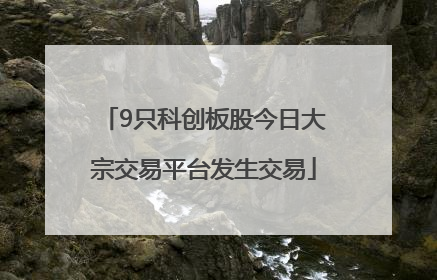 9只科创板股今日大宗交易平台发生交易