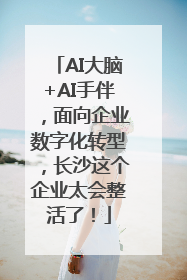 AI大脑+AI手伴，面向企业数字化转型，长沙这个企业太会整活了！
