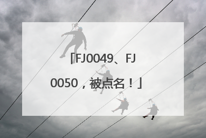 FJ0049、FJ0050，被点名！