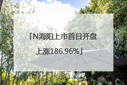 N海阳上市首日开盘上涨186.96%