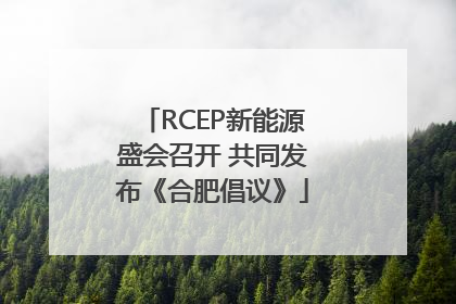 RCEP新能源盛会召开 共同发布《合肥倡议》