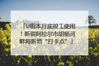 U街本月底竣工使用！新疆阿拉尔市胡杨河畔将新增“打卡点”
